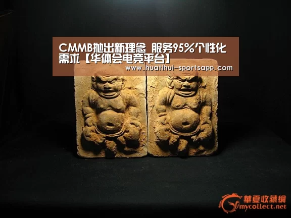 CMMB抛出新理念 服务95%个性化需求【华体会电竞平台】(图2) 华体会电竞平台
